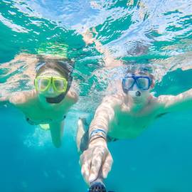 How to Book a Private Snorkeling Tour in Cabo San Lucas How to Book a Private Snorkeling Tour in Cabo San Lucas