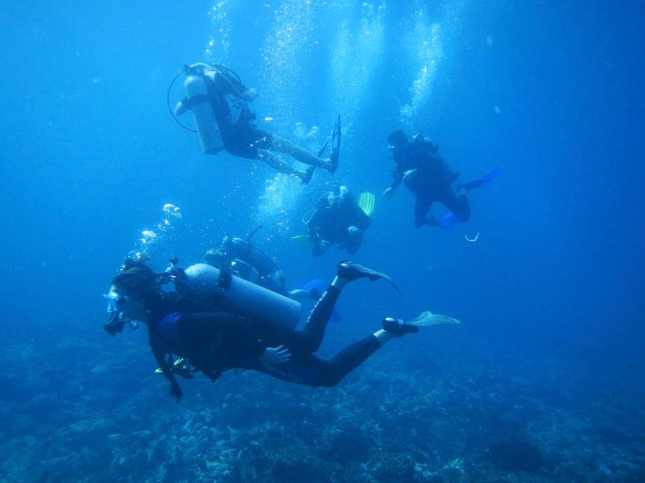 Gallery Dive Zihuatanejo Scuba Diving, Snorkeling & Whale Tours